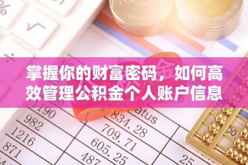 石冈掌握你的财富密码，如何高效管理公积金个人账户信息