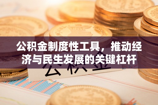 石冈公积金制度性工具，推动经济与民生发展的关键杠杆
