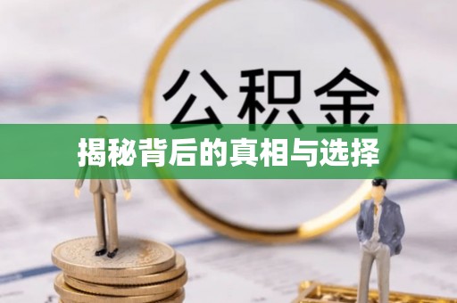 石冈揭秘背后的真相与选择