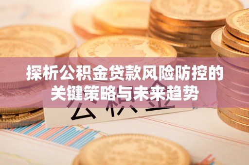 石冈探析公积金贷款风险防控的关键策略与未来趋势