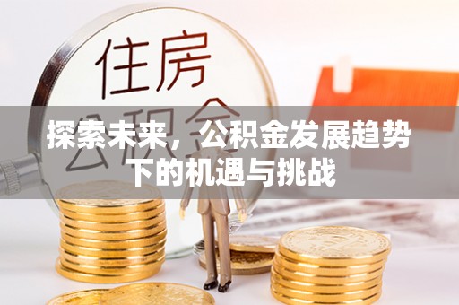 石冈探索未来，公积金发展趋势下的机遇与挑战