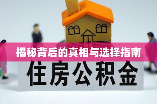 石冈揭秘背后的真相与选择指南