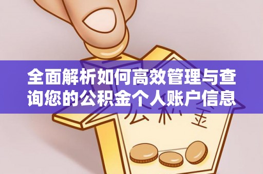 石冈全面解析如何高效管理与查询您的公积金个人账户信息