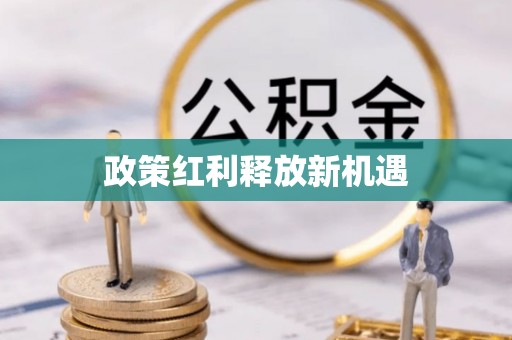 石冈政策红利释放新机遇