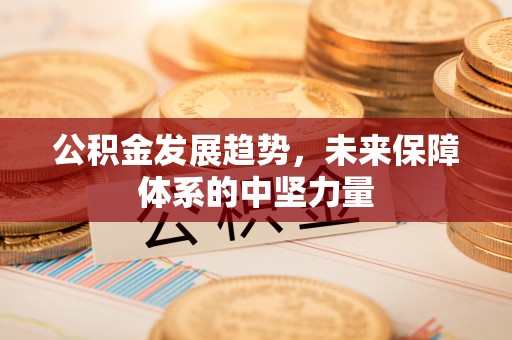 石冈公积金发展趋势，未来保障体系的中坚力量