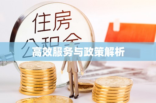 石冈高效服务与政策解析