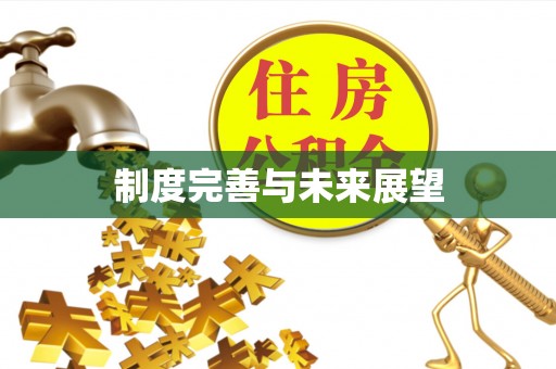 石冈制度完善与未来展望
