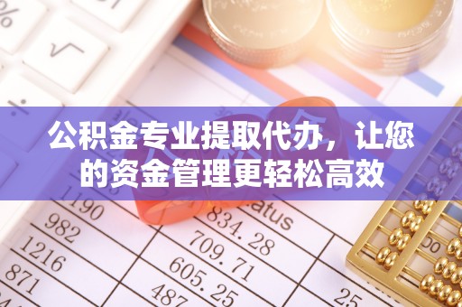 石冈公积金专业提取代办，让您的资金管理更轻松高效