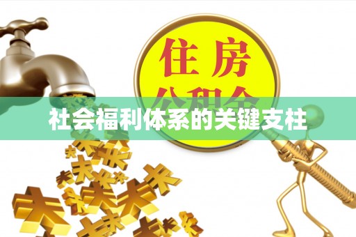 石冈社会福利体系的关键支柱
