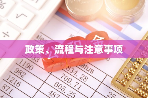 石冈政策、流程与注意事项