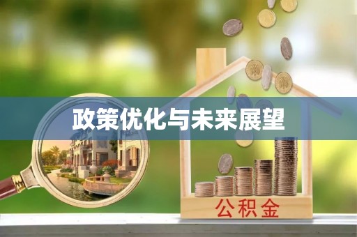 石冈政策优化与未来展望