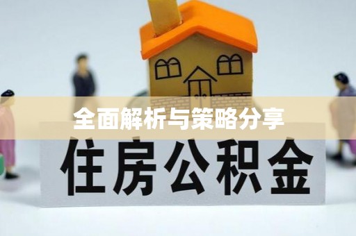 石冈全面解析与策略分享