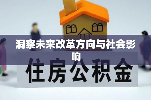 石冈洞察未来改革方向与社会影响