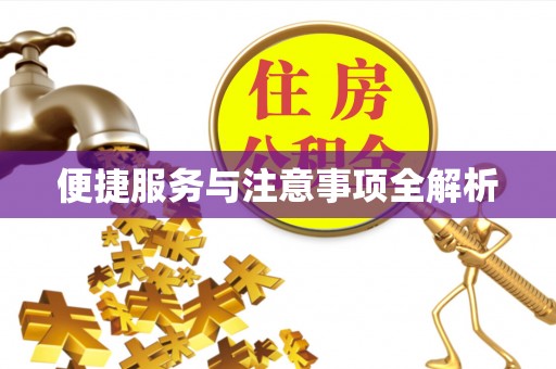 石冈便捷服务与注意事项全解析