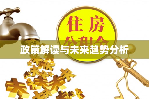 石冈政策解读与未来趋势分析