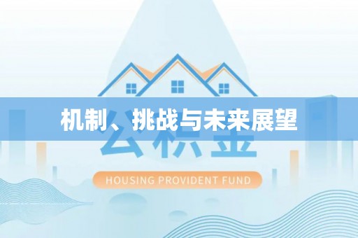 石冈机制、挑战与未来展望