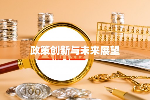 石冈政策创新与未来展望