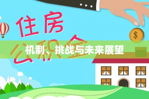 石冈机制、挑战与未来展望